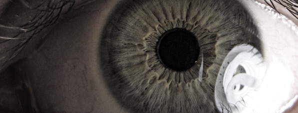 Imagen de un ojo